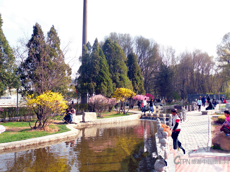 SDC10473_副本.jpg