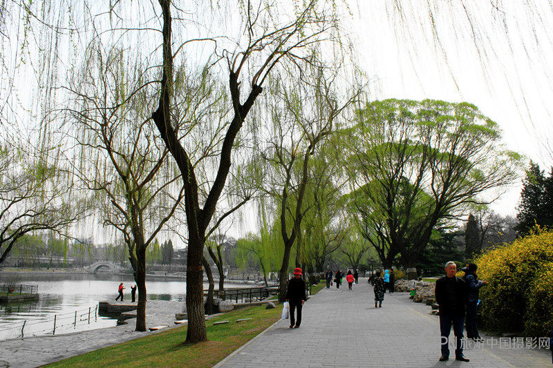 IMG_4629_副本.jpg