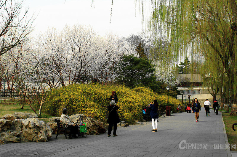 IMG_4646_副本.jpg