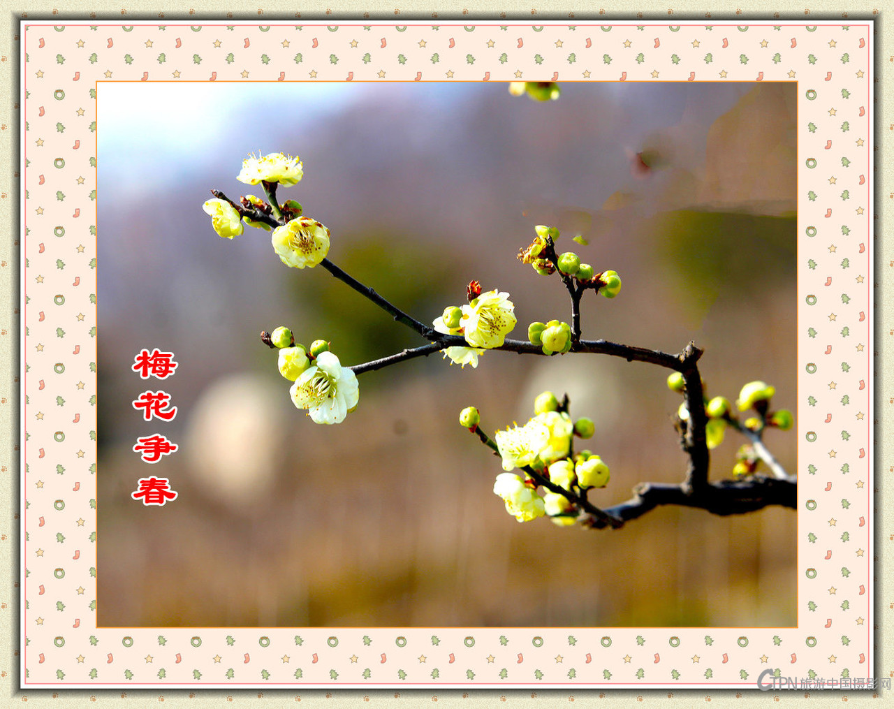 IMG_9550_副本.jpg
