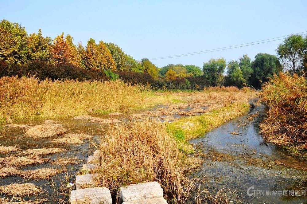 DSC_1496.jpg