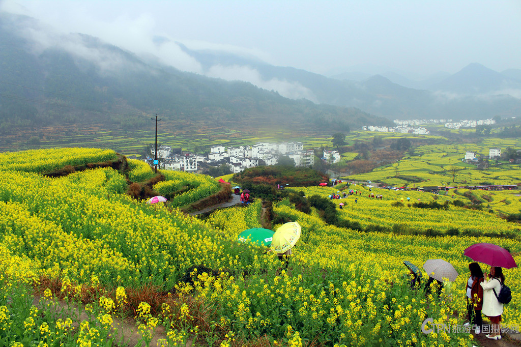 IMG_2656_副本.jpg