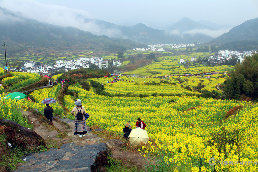 IMG_2704_副本.jpg