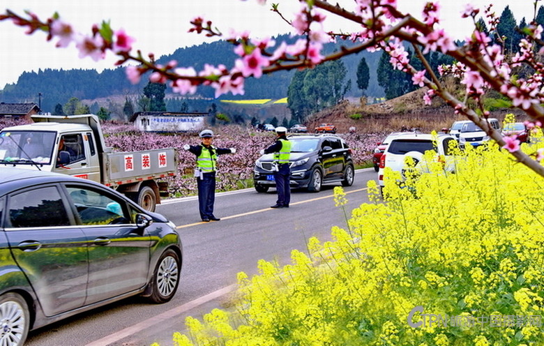 《桃花树下执勤忙》_8484.JPG