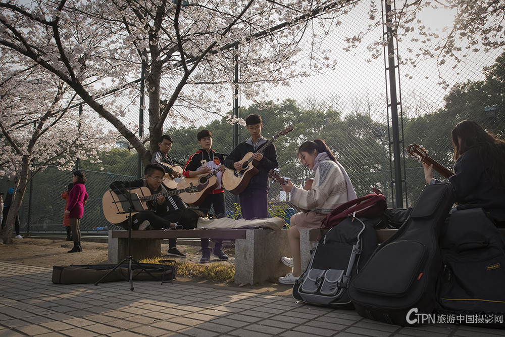 同济DSC_1149---9.jpg