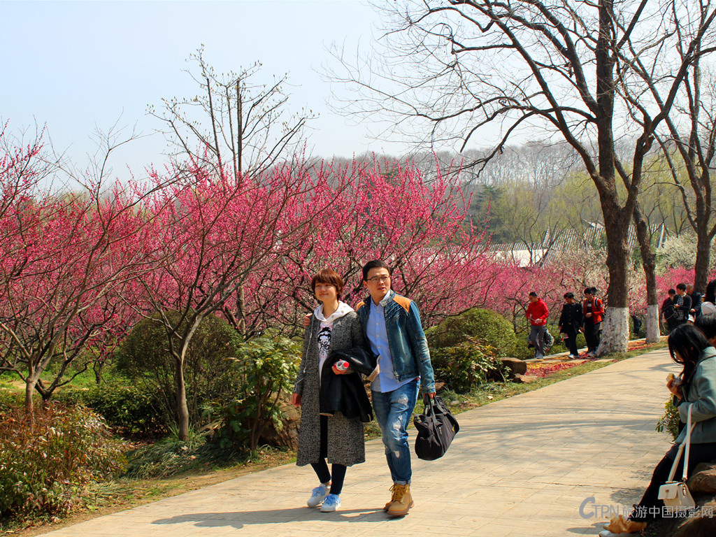IMG_9797_副本.jpg