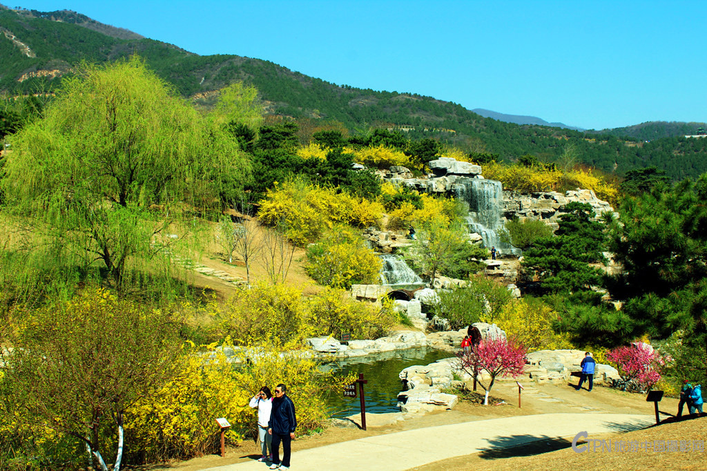 IMG_2504_副本.jpg