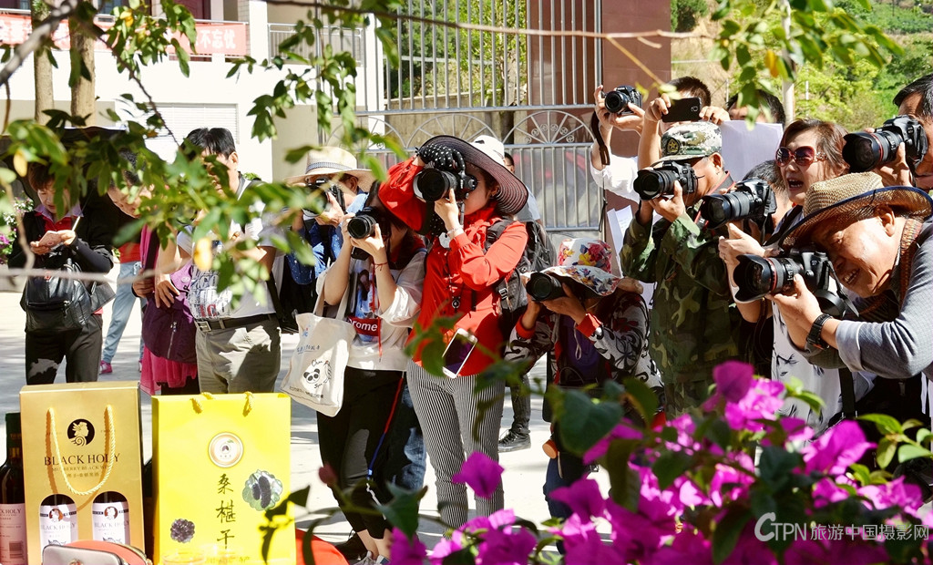 DSC_6807_副本_副本.jpg