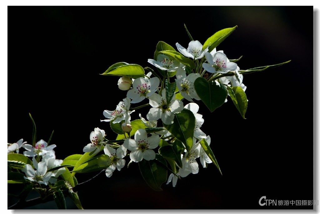 DSC_0002_看图王.jpg