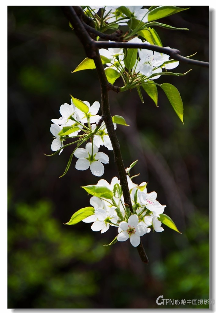 DSC_0063_看图王.jpg
