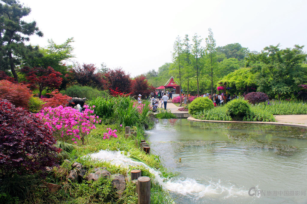 IMG_5815_副本.jpg