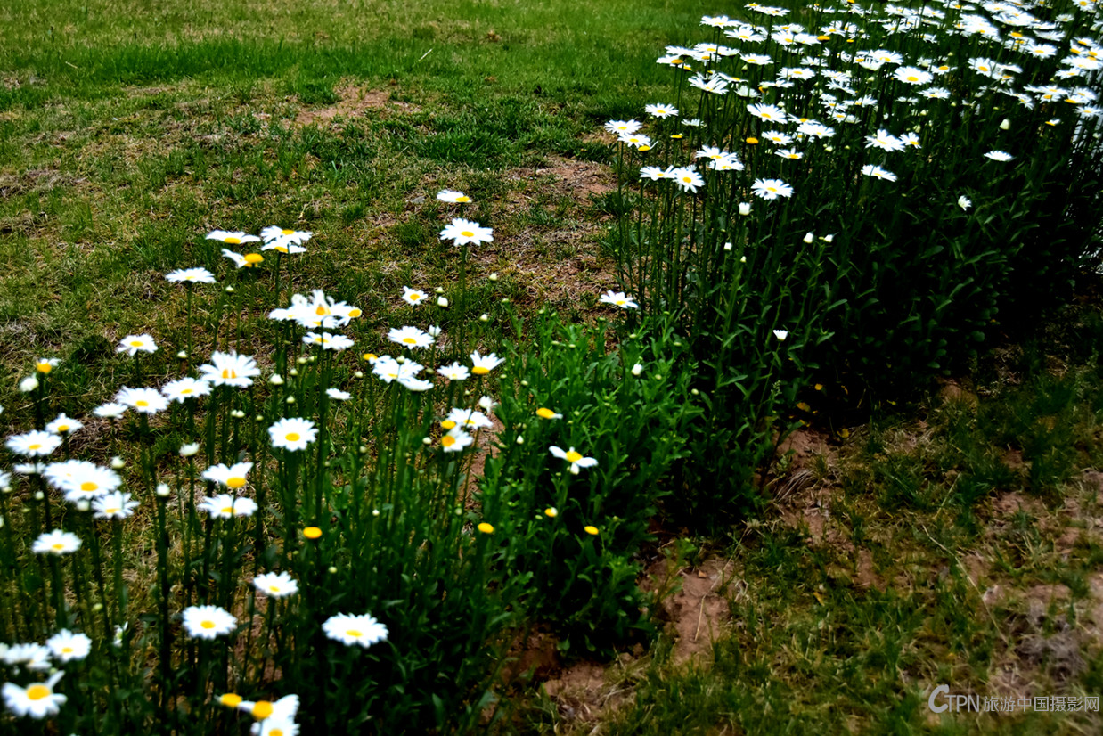 DSC_6344.JPG