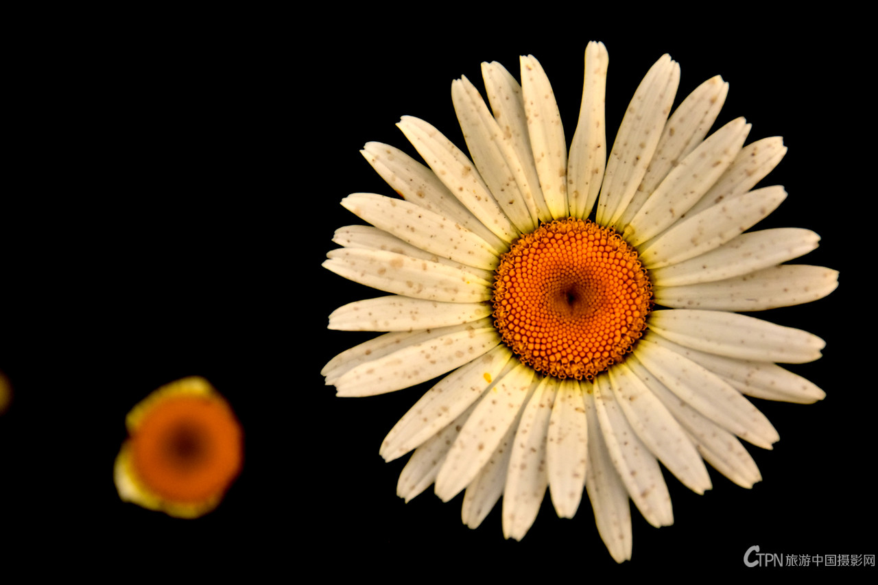 DSC_6353.JPG