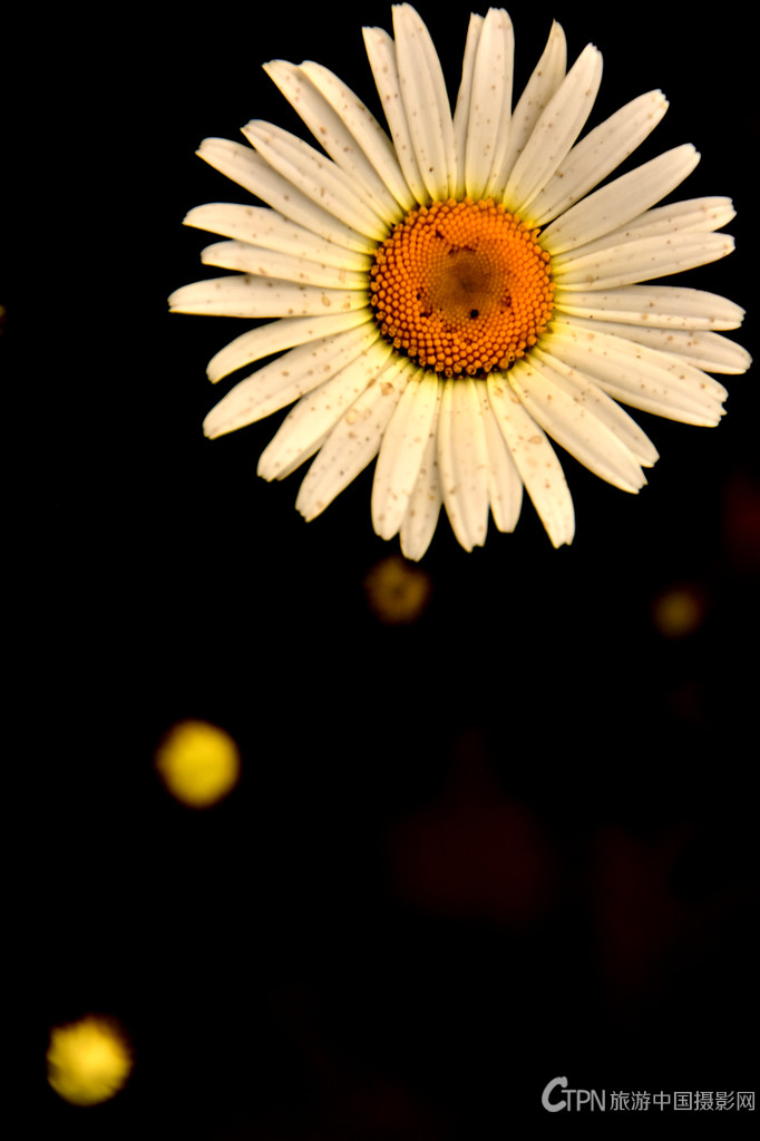 DSC_6352.JPG