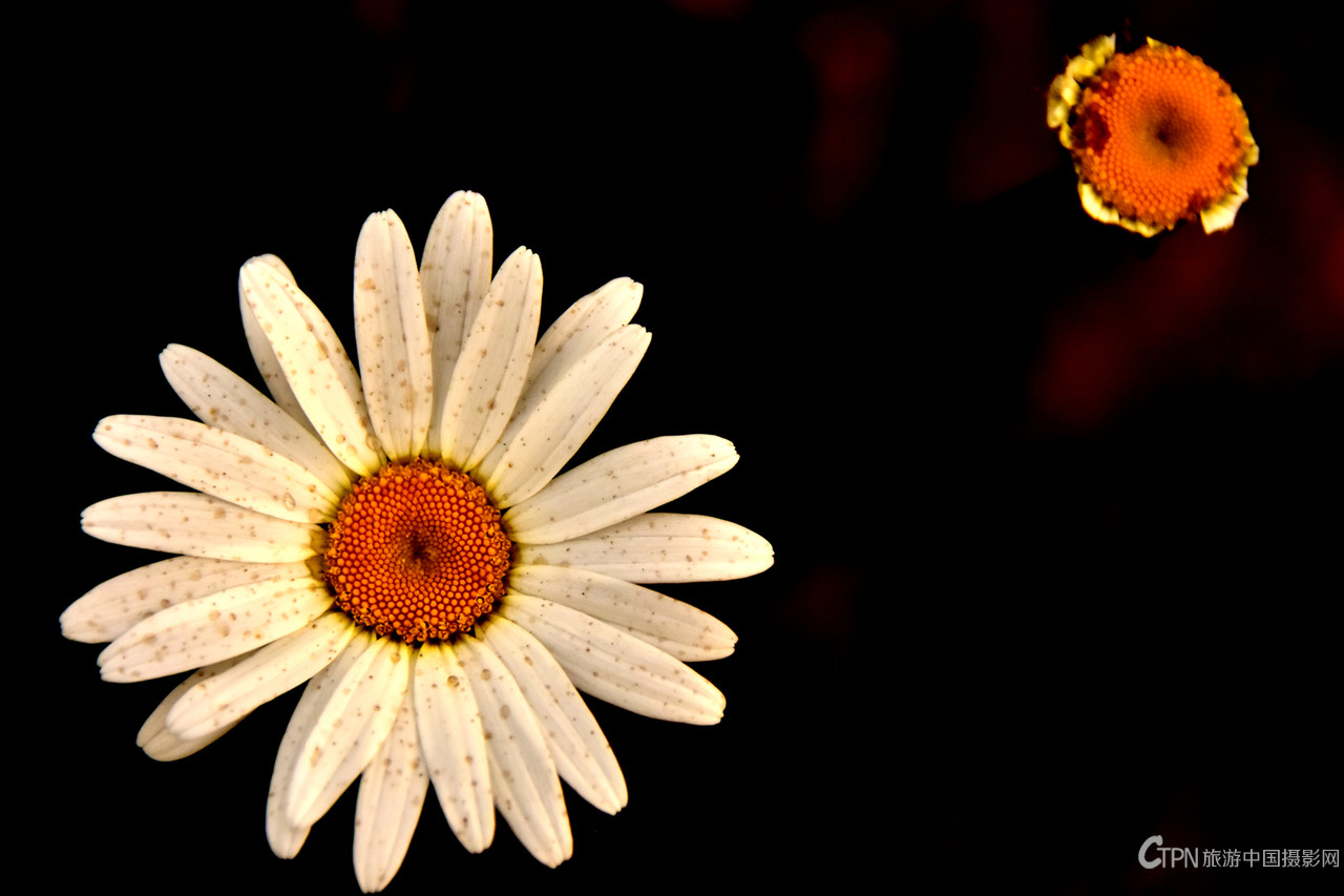 DSC_6354.JPG
