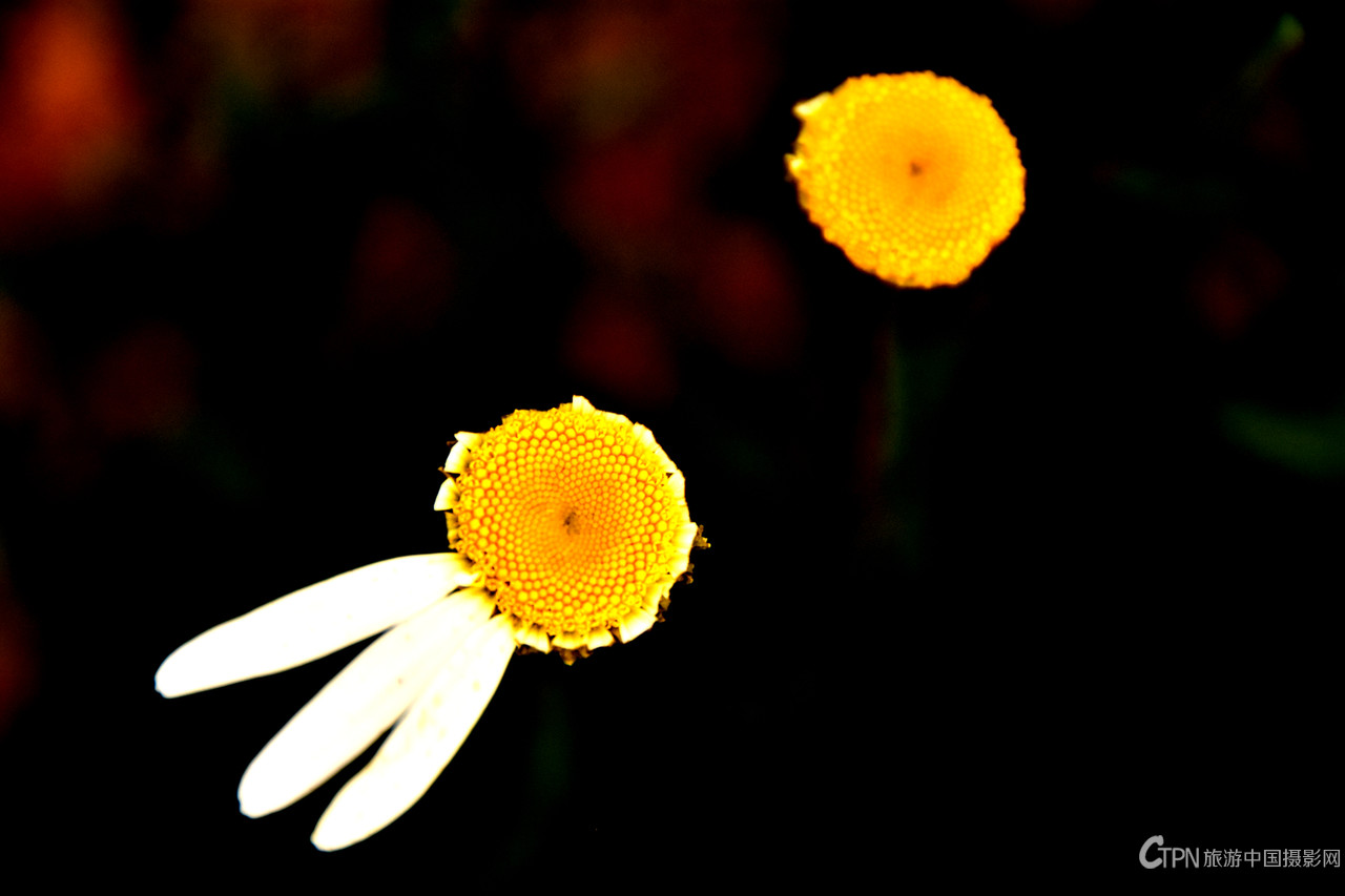 DSC_6355.JPG