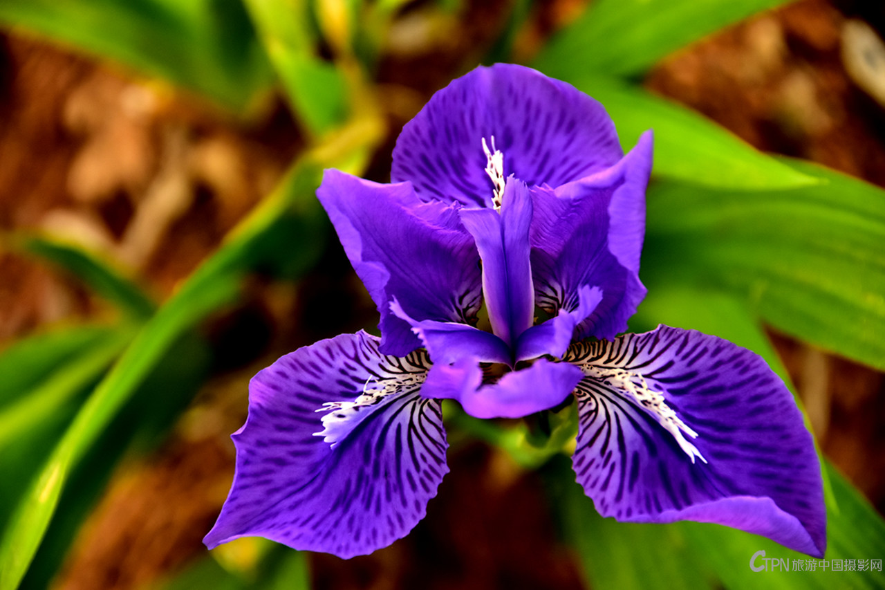 DSC_6367.JPG