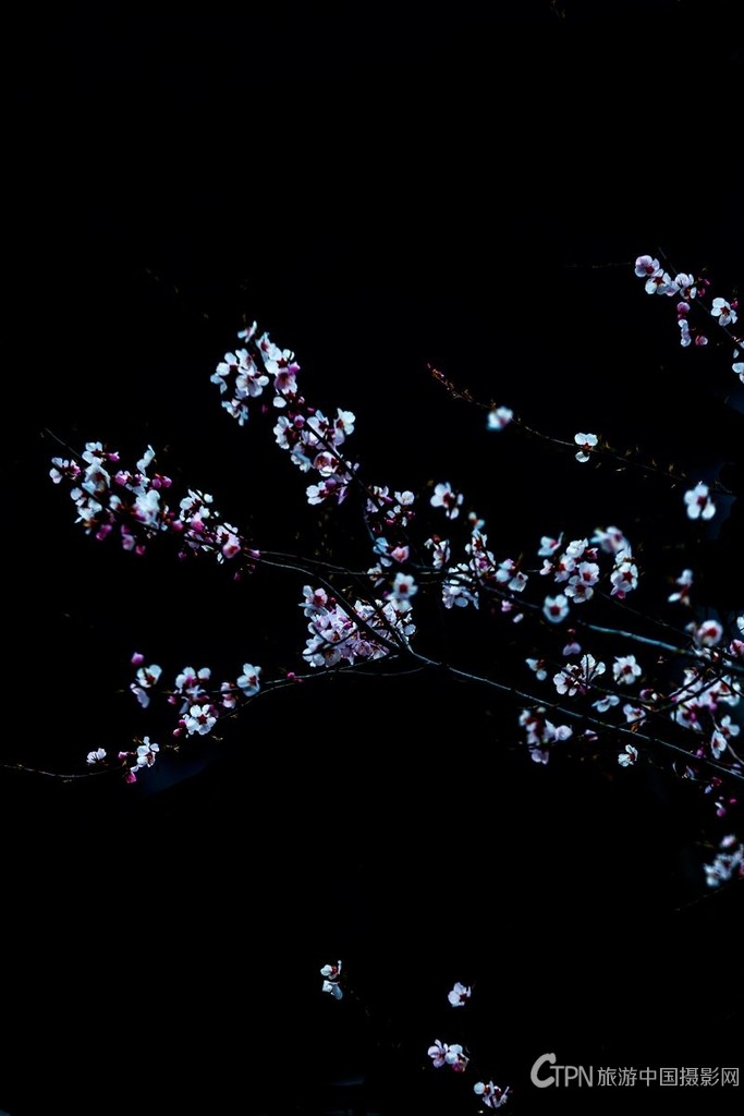8E6A7159_副本.jpg