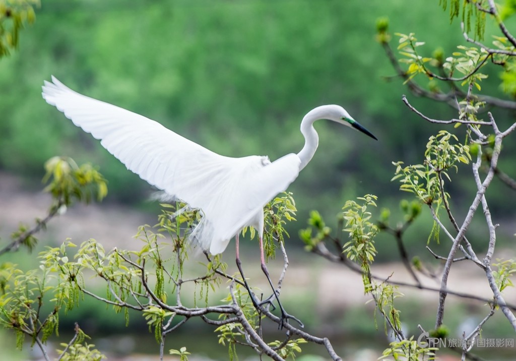 “459A0302”为智能对象-1.jpg