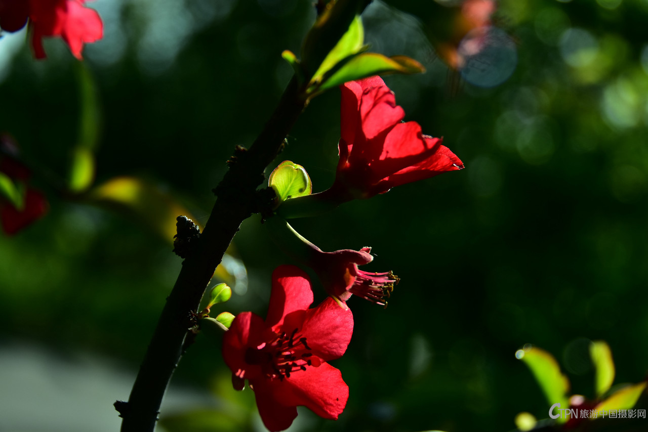 DSC_6151.JPG