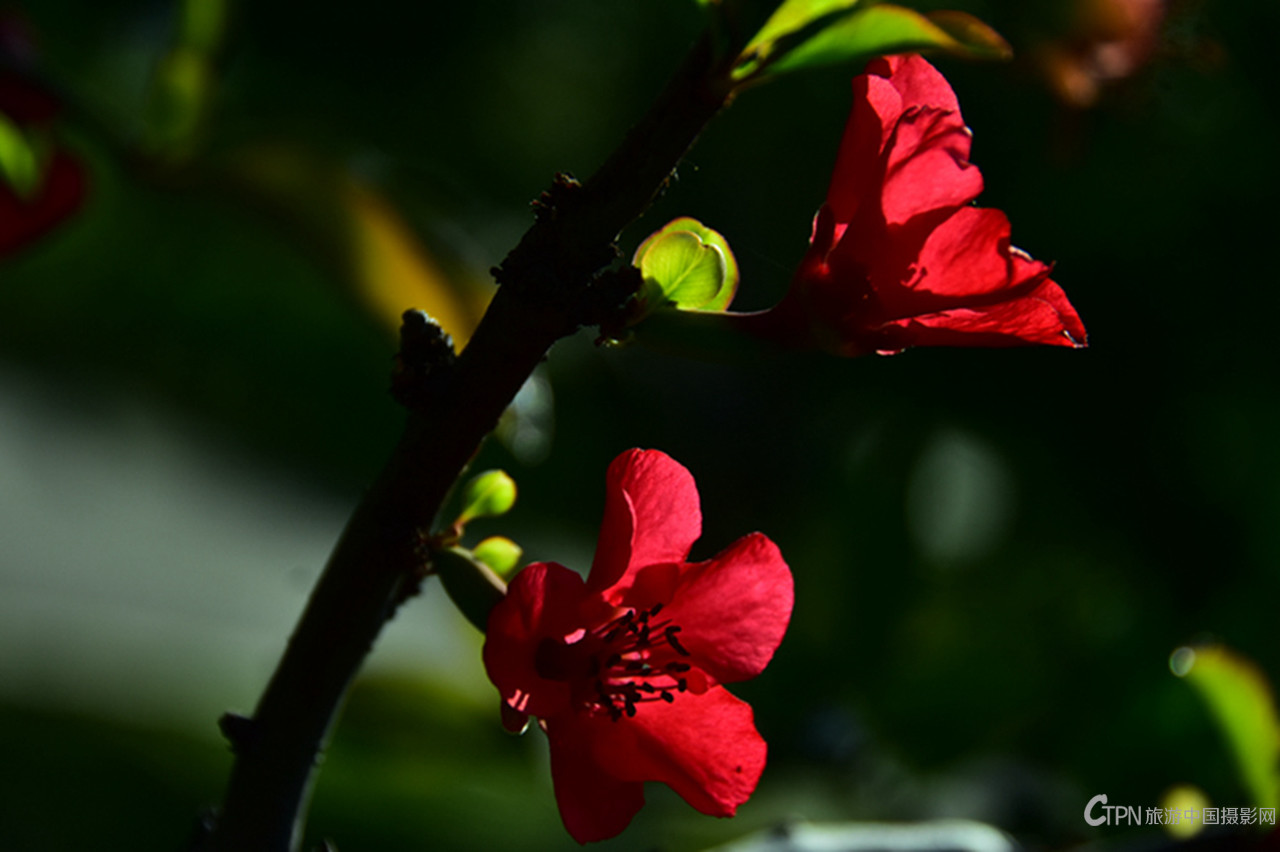 DSC_6154.JPG