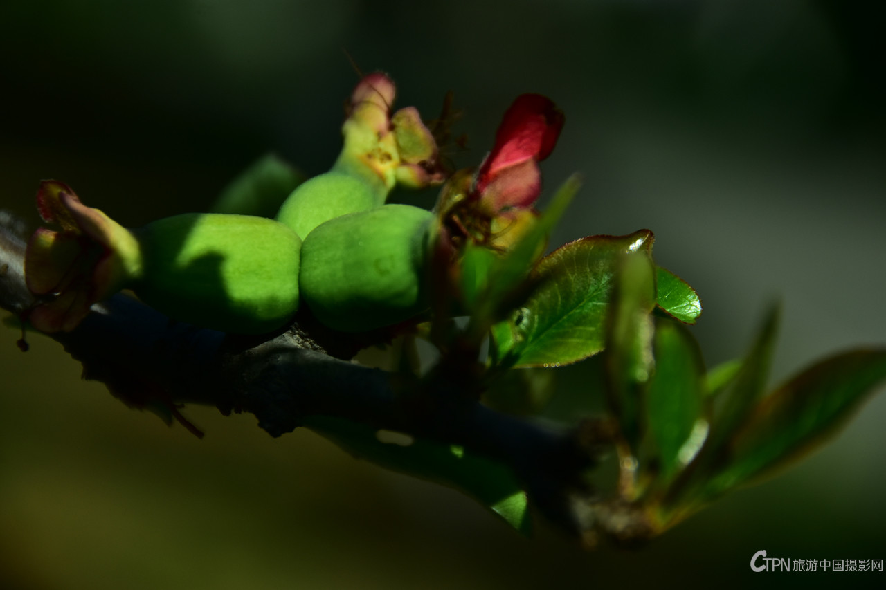 DSC_6156.JPG