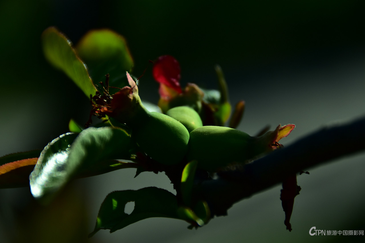 DSC_6155.JPG