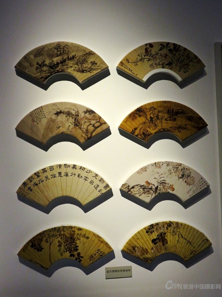 IMG_8269_conew1.jpg