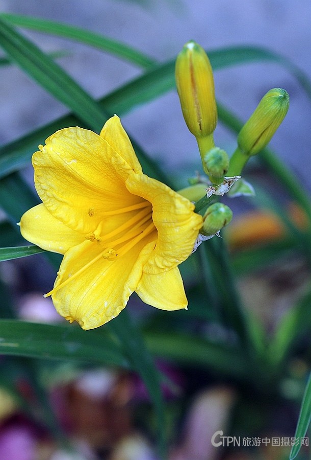 199A0890.JPG