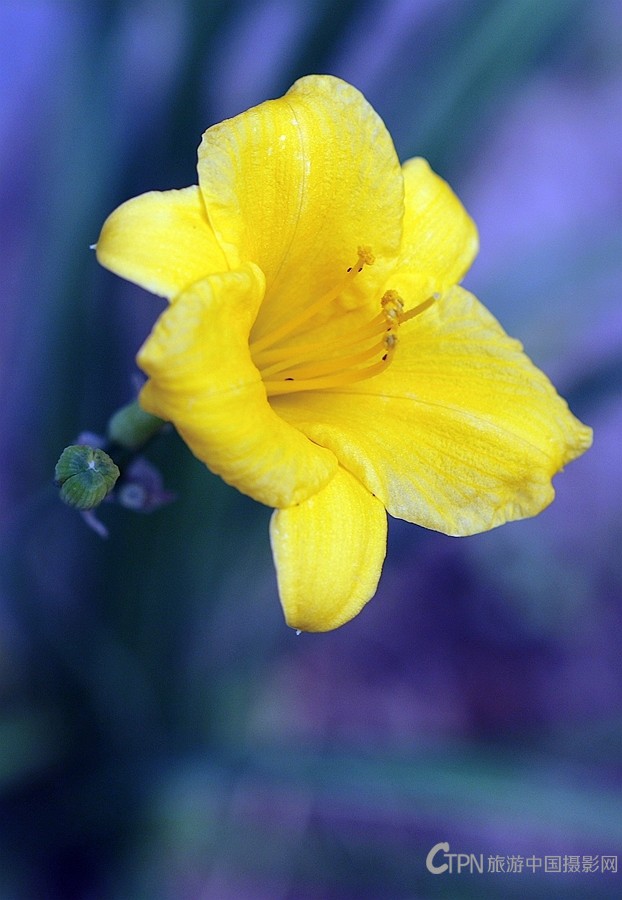 199A0895.JPG
