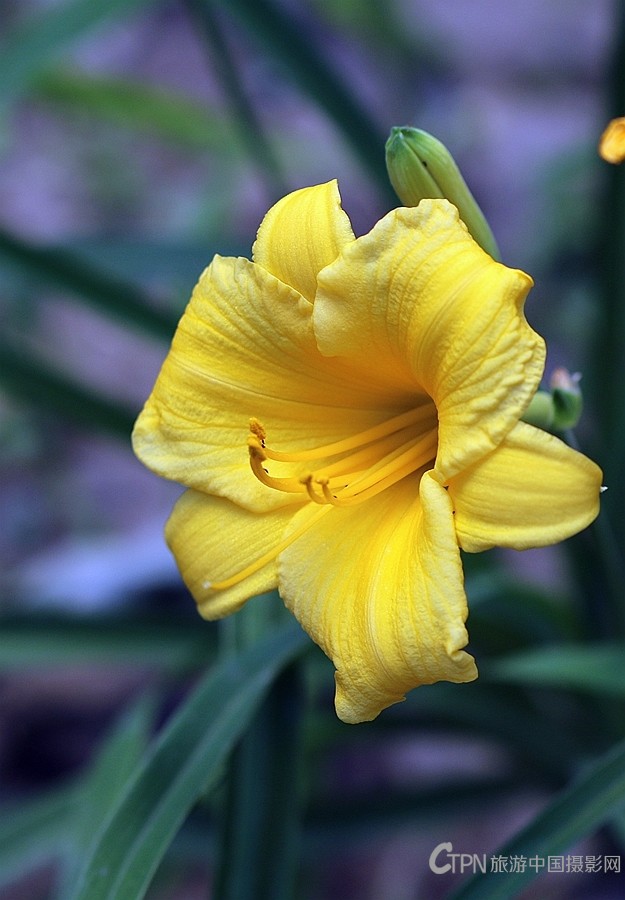 199A0896.JPG