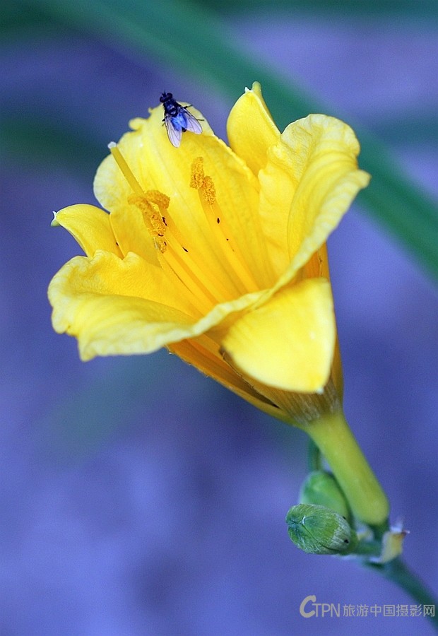 199A0898.JPG