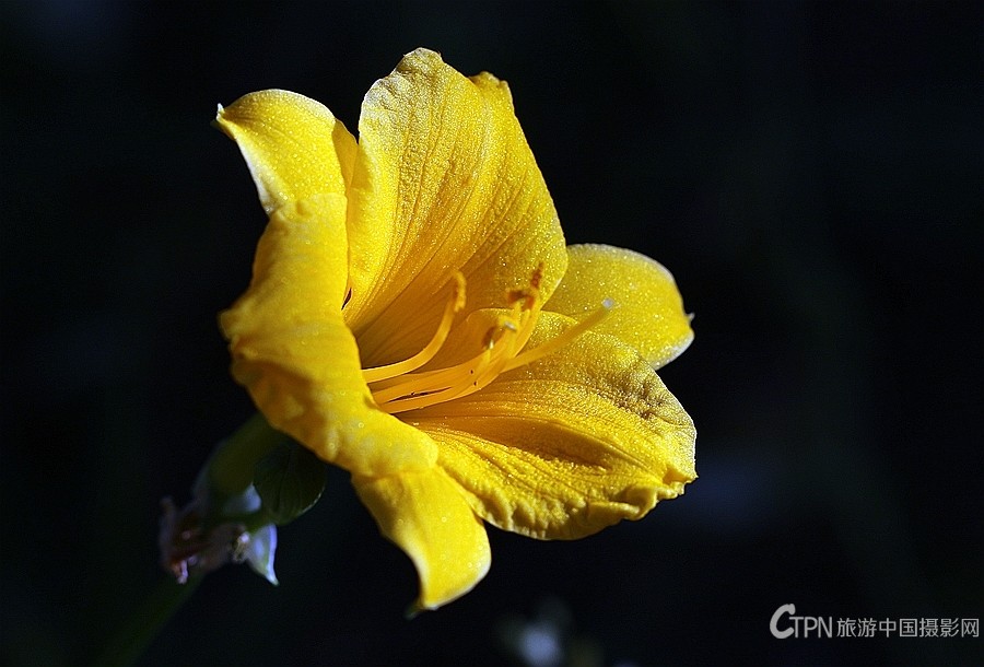 199A0917.JPG