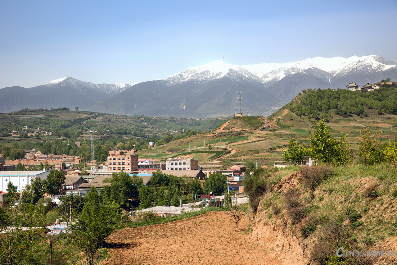 _T0A8446.jpg