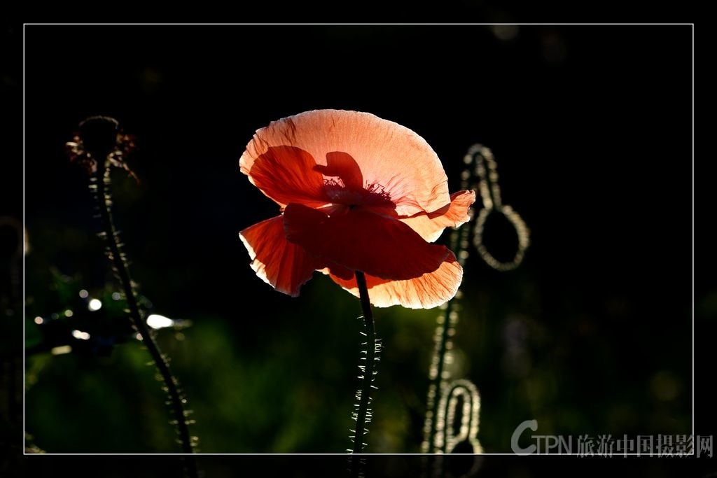 DSC_8635.jpg