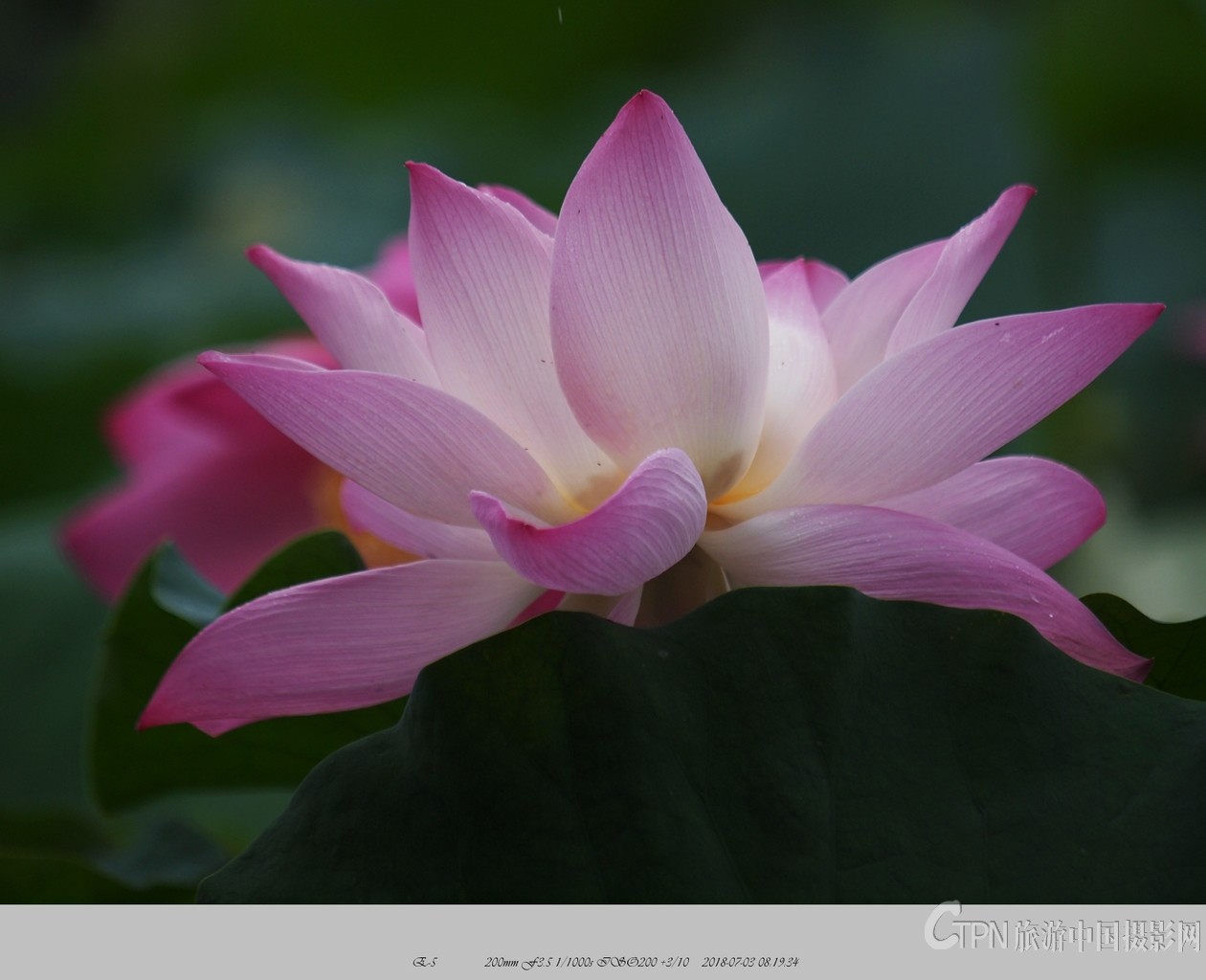 P7030463_副本.jpg