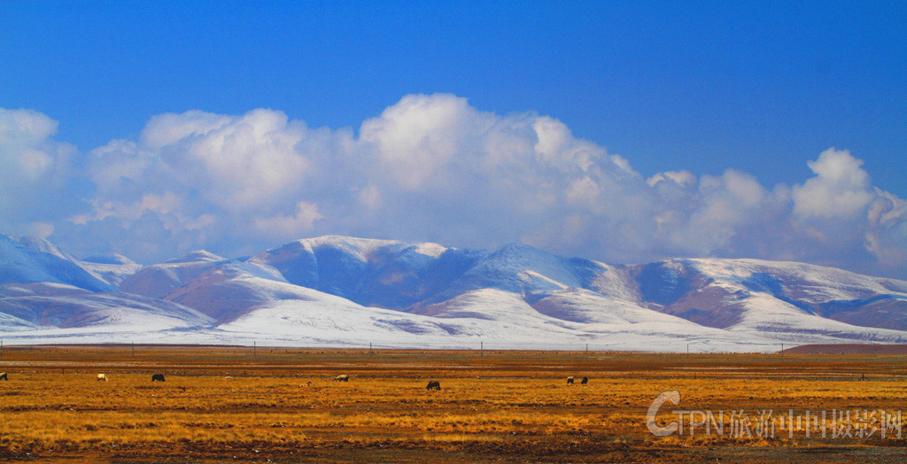 _MG_2076.JPG
