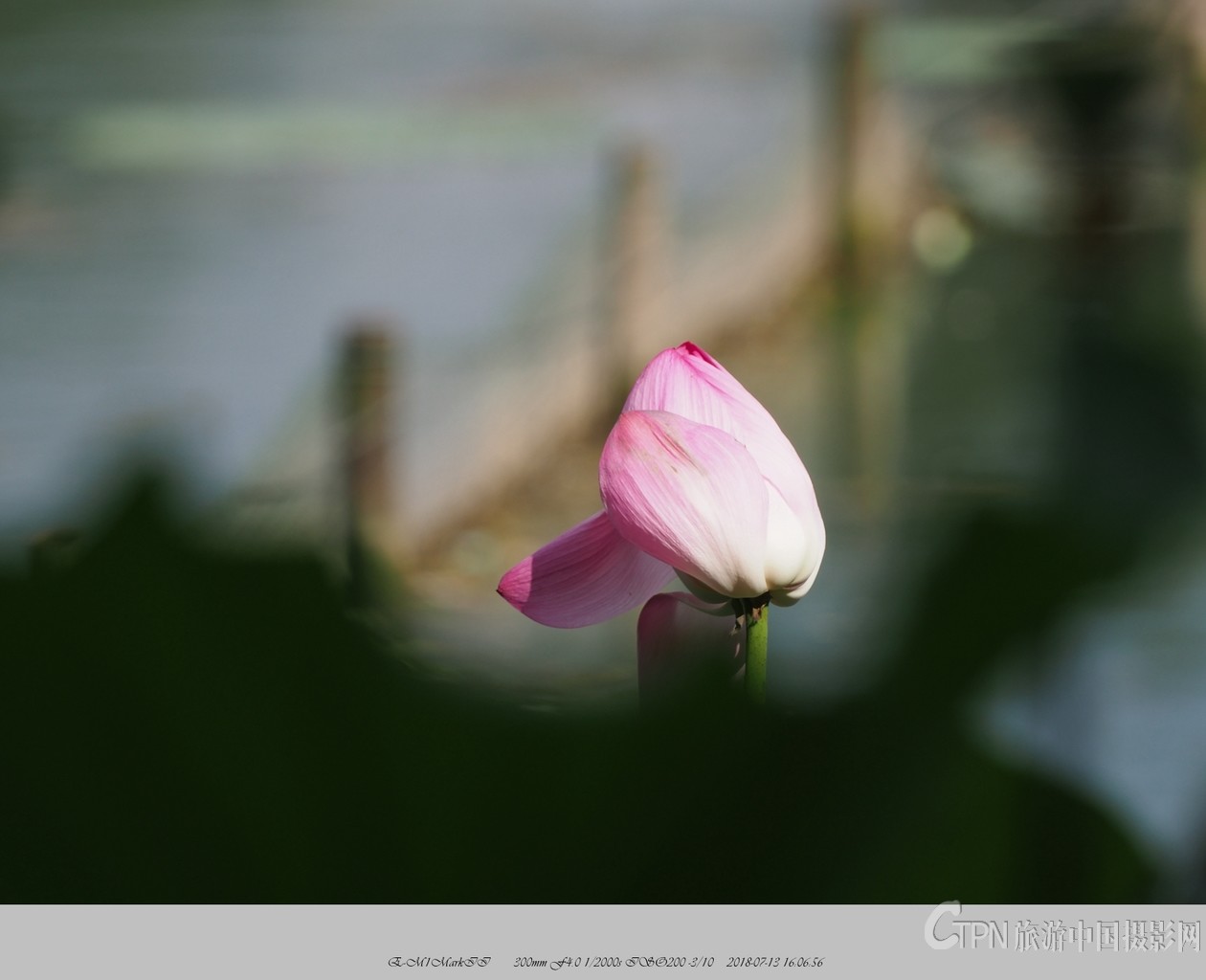 P7130303_副本.jpg