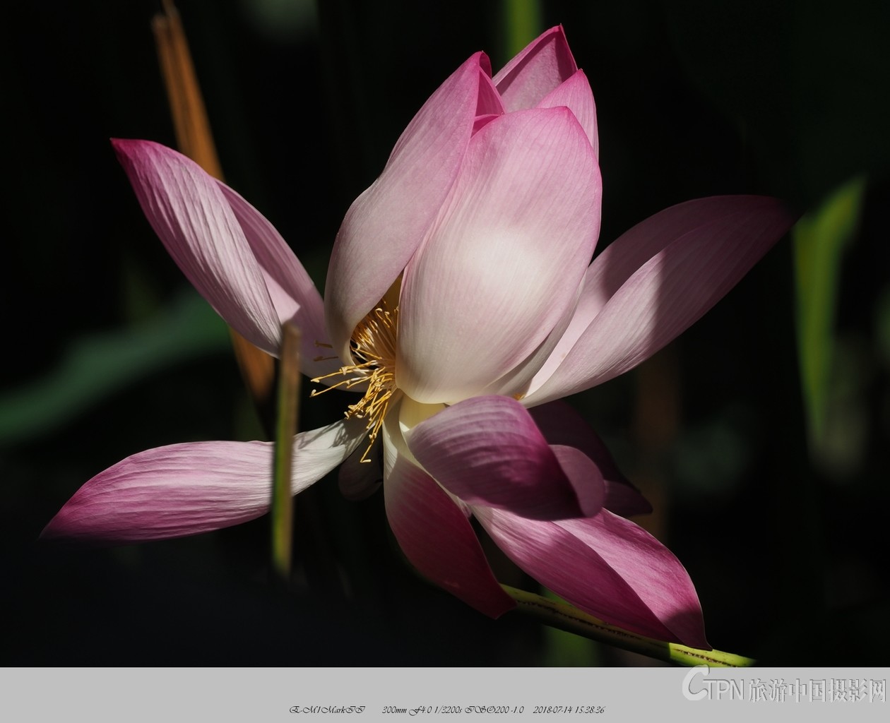 P7140197_副本.jpg