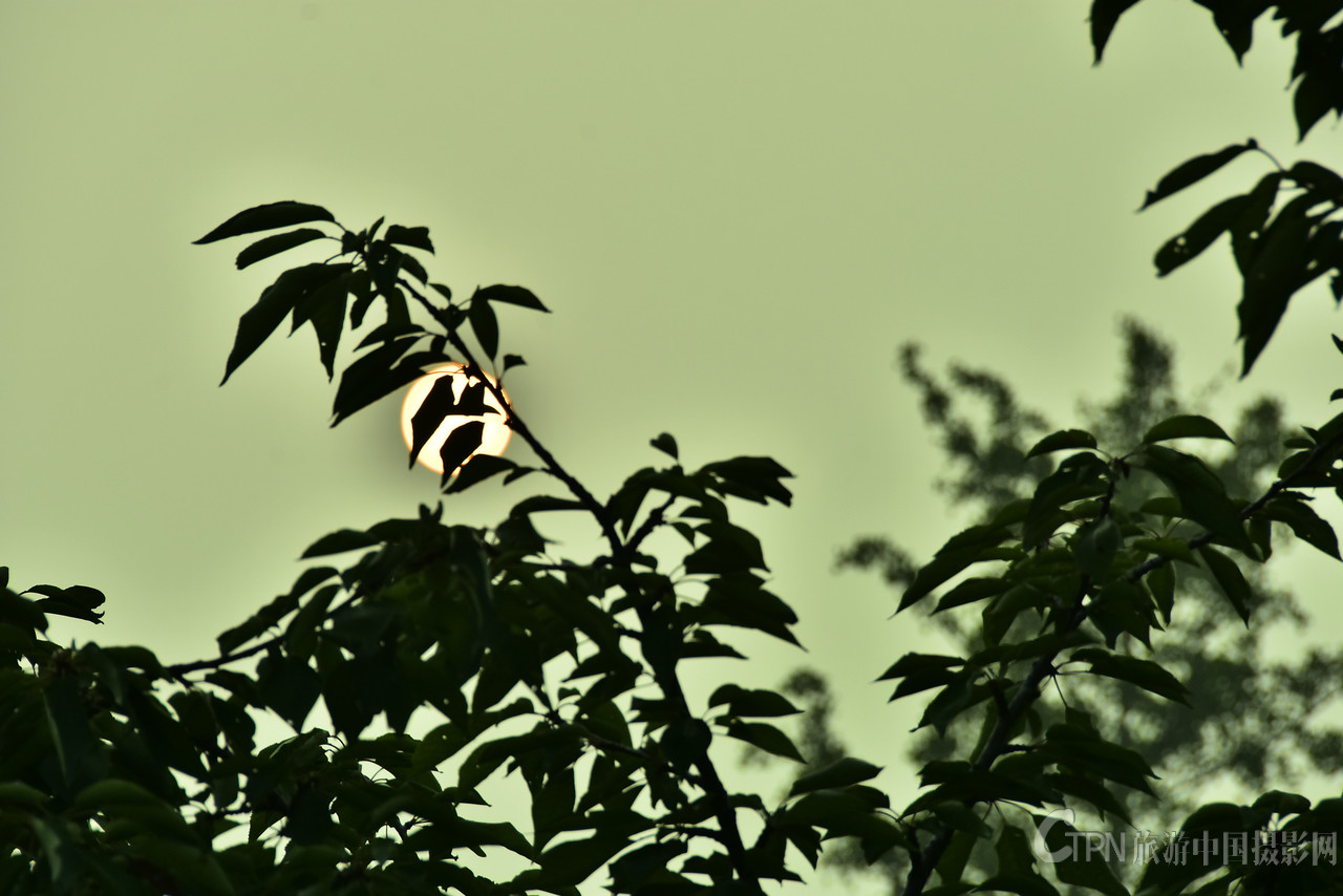 DSC_8445.JPG