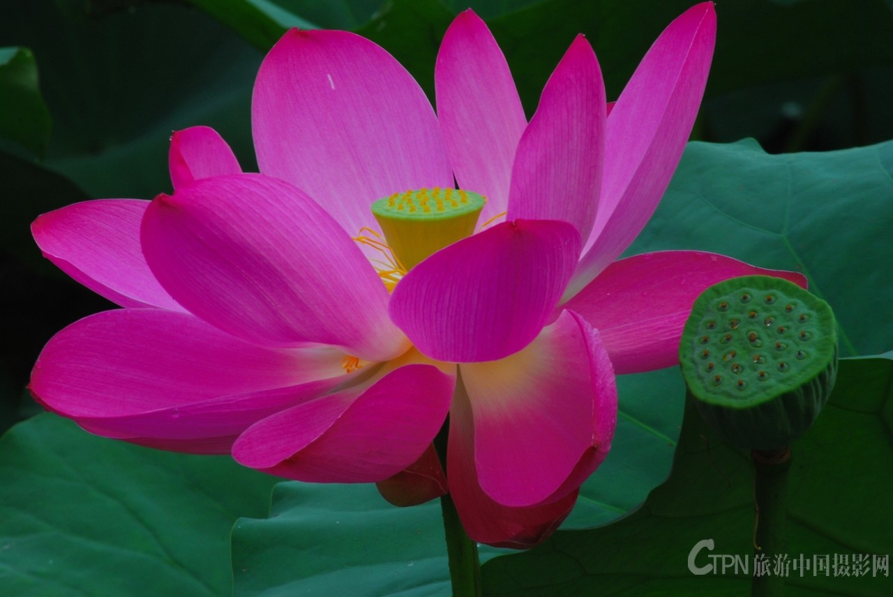 DSC_6375_副本.jpg