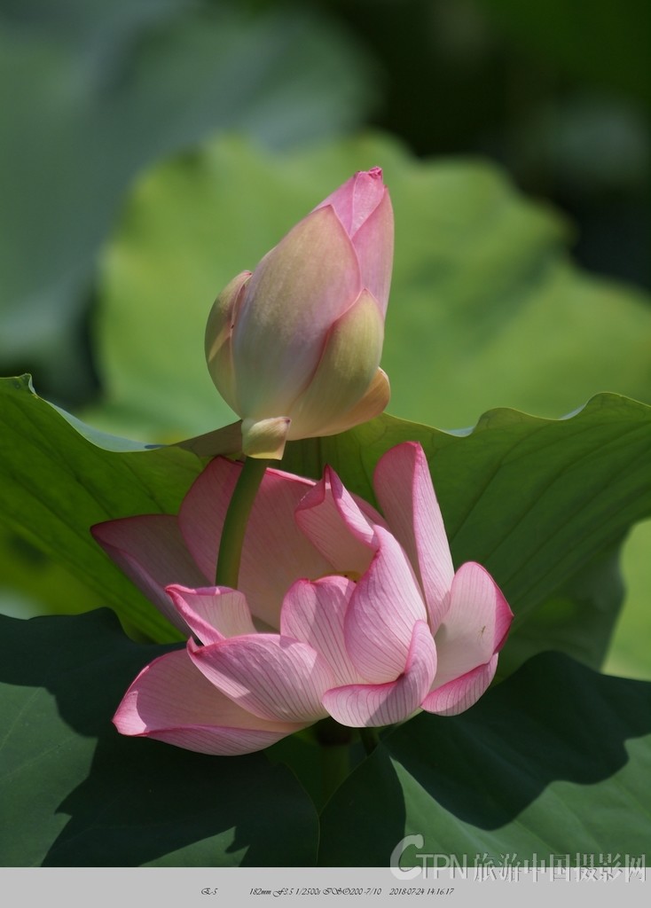 P7241539_副本.jpg