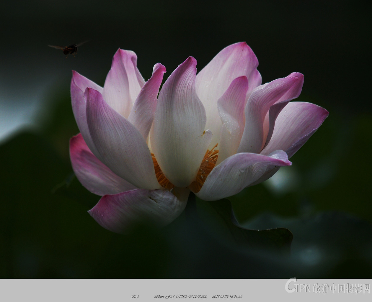 P7241661_副本.jpg