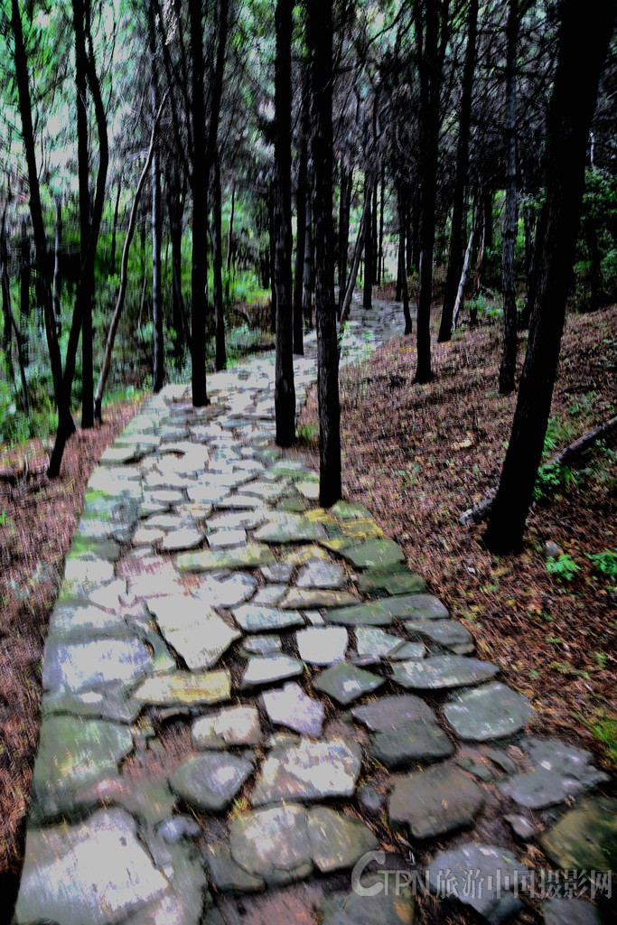 DSC_9258.JPG