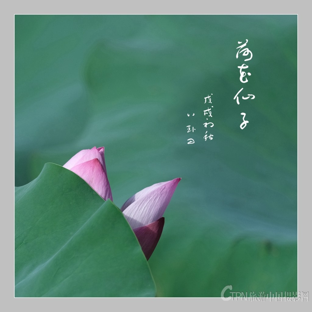 DSCF0751_副本.jpg