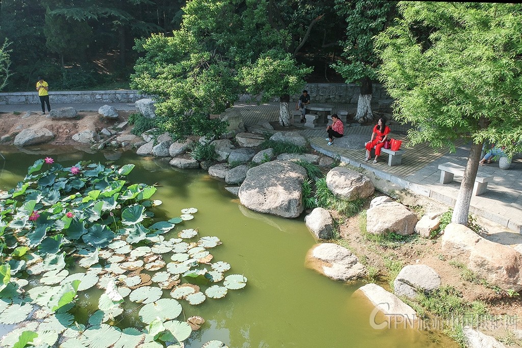 DJI_0011.jpg