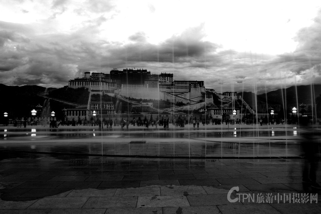 _MG_9515.JPG