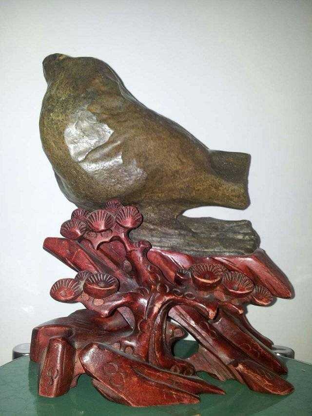 1526900765272.jpeg