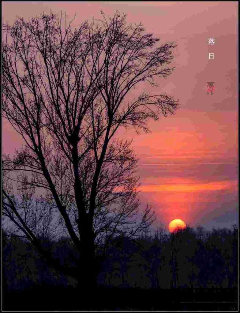 wechat_upload15430451095bf8fff507cf1