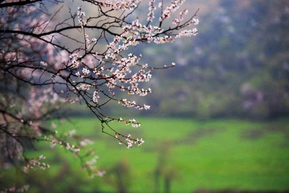 wechat_upload15435707025c01050e1b89a